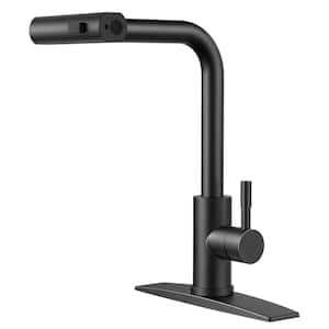 Single Handle Pull Down Sprayer Kitchen Faucet with Deckplate Pull Out Spray Wand in Black