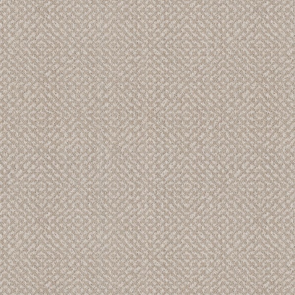 Barrington - Color Dawn Beige 45 oz. SD Polyester Pattern Beige Carpet - Installation Required