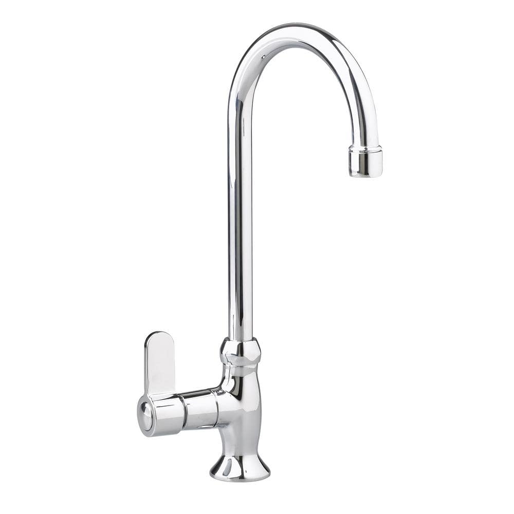 Elegant Polished Chrome Single-Handle Bar Faucet