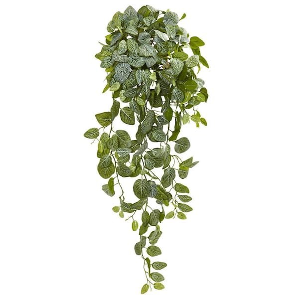 Nearly Natural Indoor 36 Fittonia Hanging Bush Artificial Plant (Set of ...