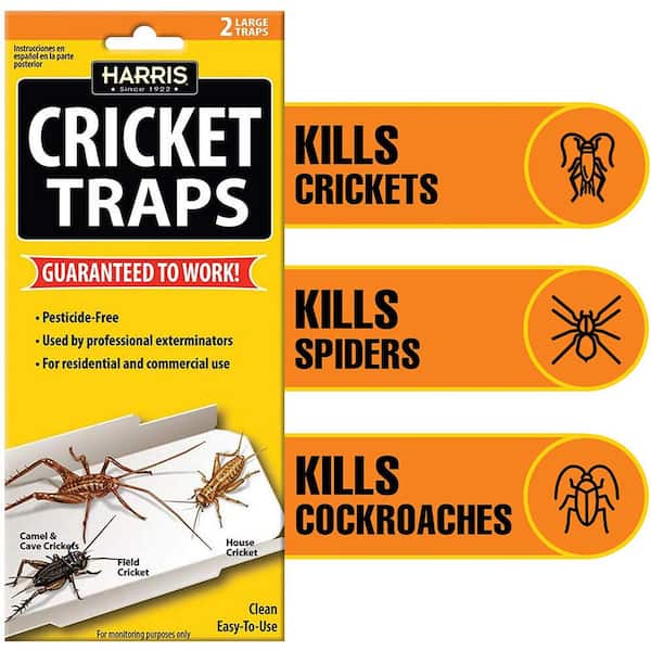 https://images.thdstatic.com/productImages/dfa198e4-5c7e-437e-991e-16d253e8dd8c/svn/white-harris-insect-traps-ctrpvp-4f_600.jpg
