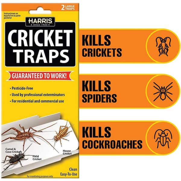 Cricket Glue Traps (6-Pack)