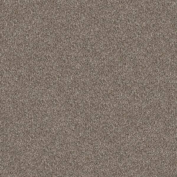 Home Decorators Collection River Rocks I - Smooth Satin - Beige 42.1 oz. SD Polyester Texture Carpet - Installation Required