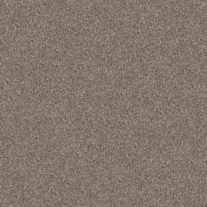 River Rocks III - Smooth Satin - Beige 65.6 oz. SD Polyester Texture Installed Carpet