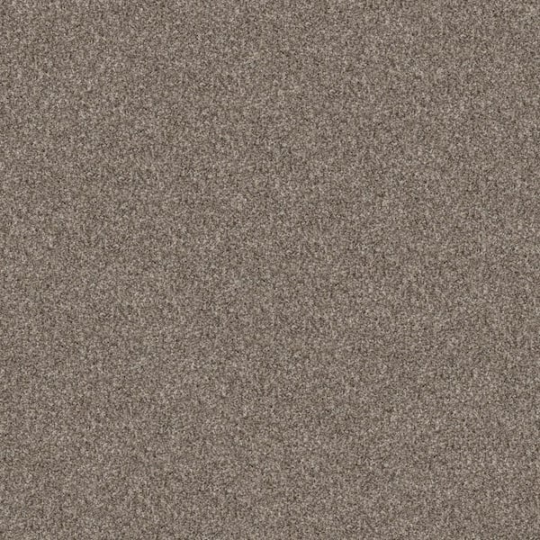 Home Decorators Collection River Rocks III - Smooth Satin - Beige 65.6 oz. SD Polyester Texture Installed Carpet
