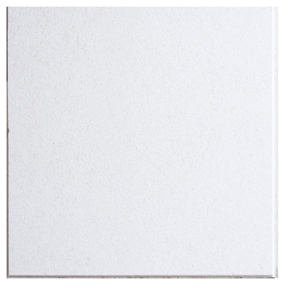 USG Ceilings 2 ft. x 2 ft. Millennia White Shadowline