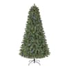 Home Accents Holiday 6.5 ft. Pre-Lit LED Festive Pine Artificial ...