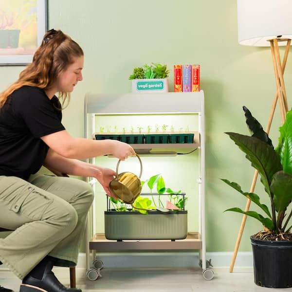 vego garden 2 Tier Grow Light Garden, Plant Stand with Plant Shelf