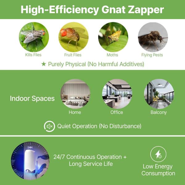 Fly Trap Plug-in Gnat Killer Plug and Play Indoor Skeeter Zapper with Blue-Violet Light & 10 Sticky Glue Boards