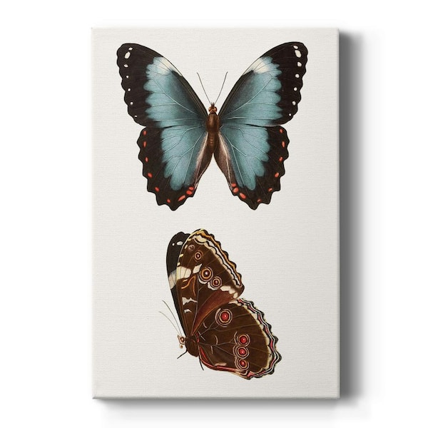 Wexford Home Antique Blue Butterflies IV By Wexford Homes Unframed Giclee Home Art Print 12 in. x 8 in.