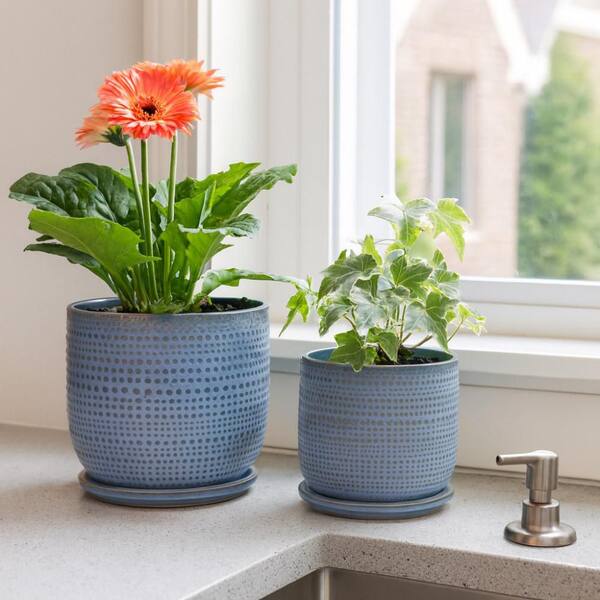 Liv & Skye 6 in. and 8 in. Blue Ceramic Decorative Round Textured