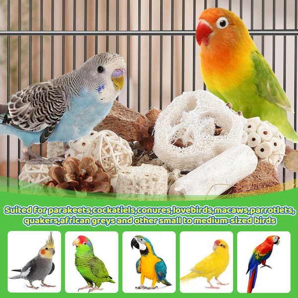 Augbeer Medium Bird Toys Sets for Parakeets Cockatiels Conures