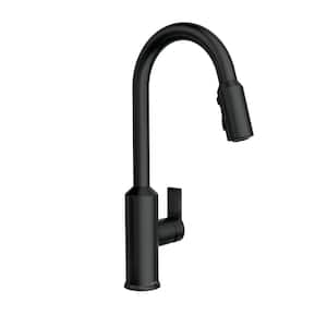 Meena Single-Handle Pull-Down Sprayer Kitchen Faucet with Power Clean and Reflex in Matte Black