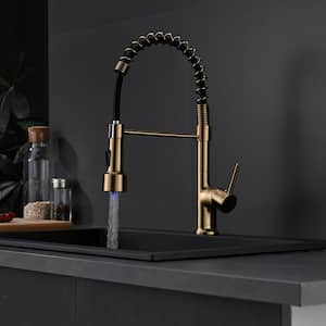 Single Handle Pull Down Sprayer Kitchen Faucet with LED Spray in Brushed Gold