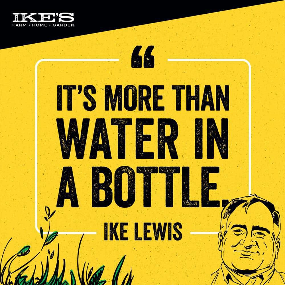 Ike's 32 oz. Concentrated Liquid Spray Tank Cleaner