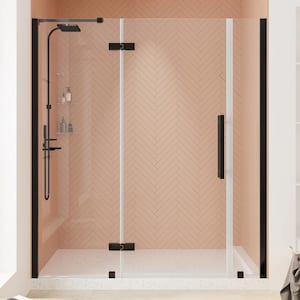 Tampa 60 1/16 in. W x 72 in. H Pivot Frameless Shower Door in Oil Rubbed Bronze With Shelves