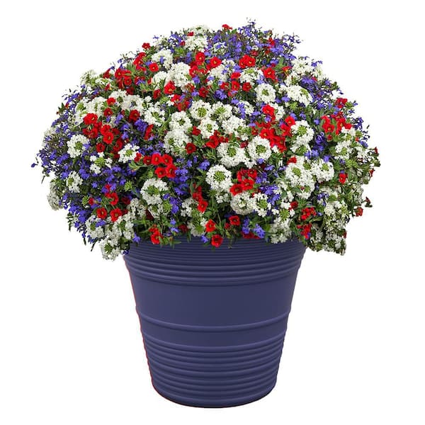 Sedona 16 in. Plastic Blue Planter