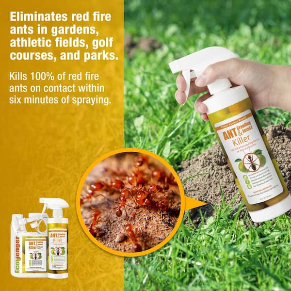 EcoRaider Ant Killer & Crawling Insect Killer (Citrus Scent) 16 OZ, Natural & Non-Toxic