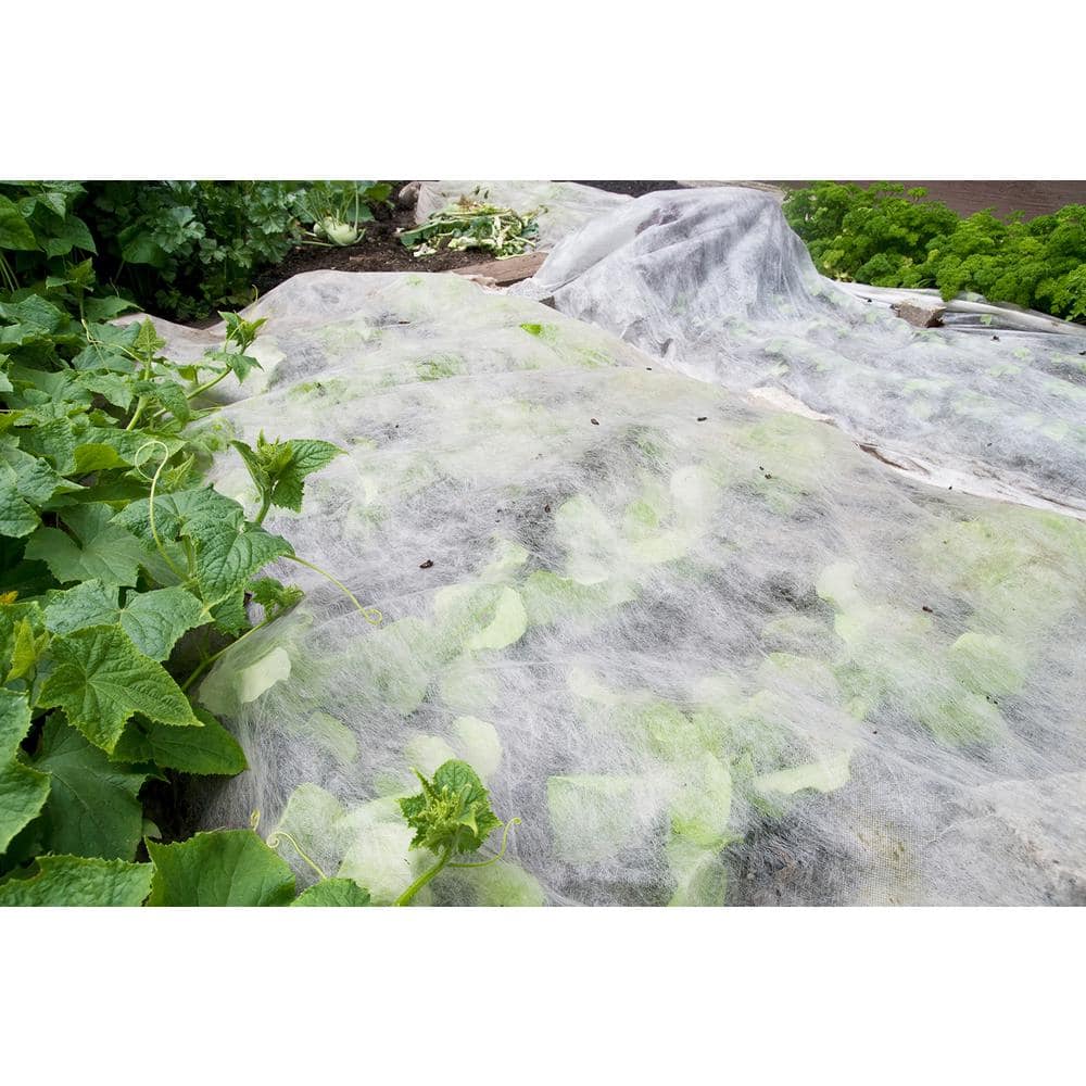10 ft x 15 ft White Reusable Protective Garden Cover