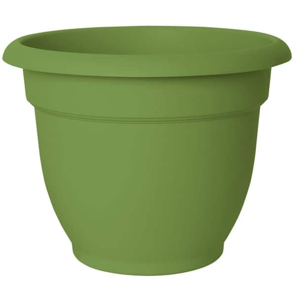 Bloem Ariana 8 in. W x 6.75 in. H Round Peridot Plastic Planter (Case of 10)