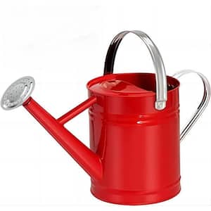 1 Gal. Watering Can for Outdoor&Indoor Plants, Galvanized Steel Watering Can with Stainless Steel Handles