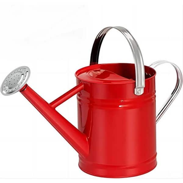 Cubilan 1 Gal. Watering Can for Outdoor&Indoor Plants, Galvanized Steel Watering Can with Stainless Steel Handles