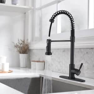 Karwors Single-Handle Sprayer Kitchen Faucet with Dual Function Sprayhead in Matte Black