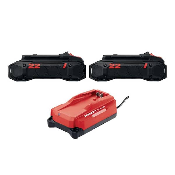 22V NURON B22-85 4.0 Ah Rechargeable Lithium‑Ion Battery and Charger Kit (2 Batteries)