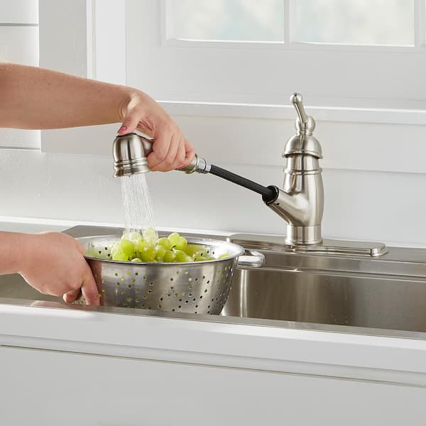 Opulence Single-Handle Pull-Out Sprayer Kitchen Faucet 1.75 GPM Deckplate Included Stainless Steel