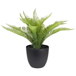 12 in. Potted Green Artificial Pinus Plant