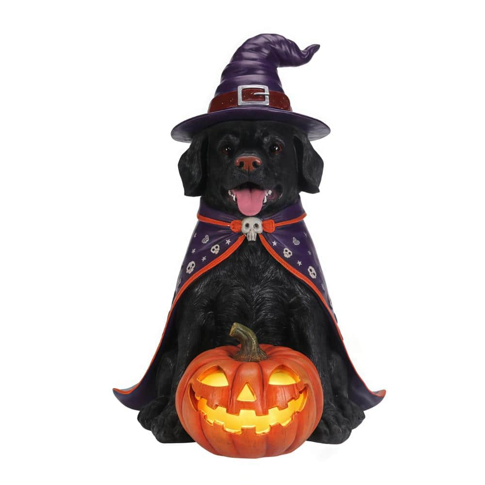 Halloween Black Labrador Retriever Dog Statue, Large Sitting Dog Figurine, LED Light Up Jack-O-Lantern Pumpkin price history on PriceWatchPro