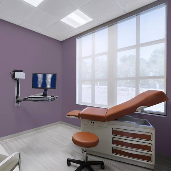 1 gal. #M560-7 Muscat Grape Dead Flat Interior Paint