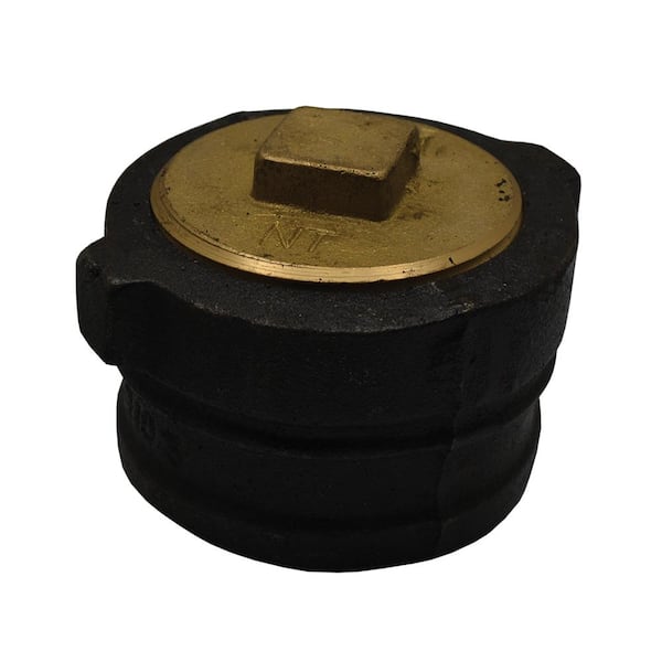 JONES STEPHENS 3 in. No Hub Cast Iron Cleanout with 2-1/2 in. Raised Head Southern Code Plug (2-1/8 in. Height) for DWV