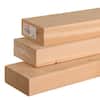framing-lumber-s20402-294-16-64.0