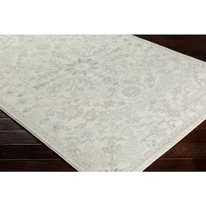 Demeter Stone 3 ft. 11 in. x 5 ft. 7 in. Area Rug