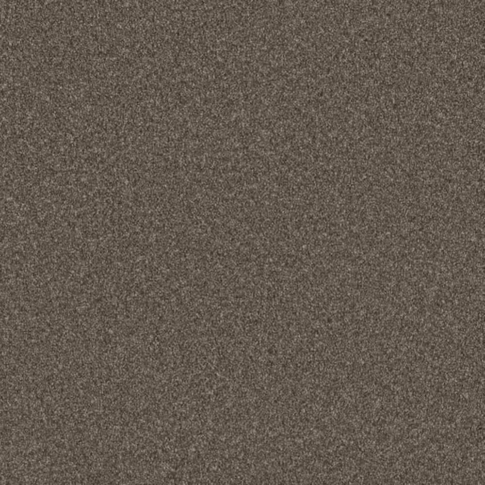 8 in. x 8 in. Texture Carpet Sample-Harpstring II-Color Linger price history on PriceWatchPro