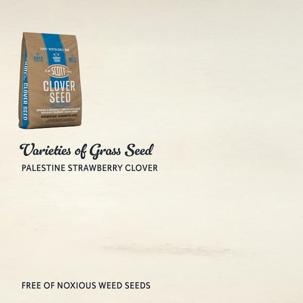 Reviews for O.M. Scott & Sons Clover Seed, 2 lb. 1,000 sq. ft. Lawn Seed  Grows a Naturally Low Maintenance, Drought Tolerant Lawn | Pg 1 - The Home  Depot