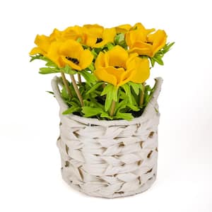 10 in. Artificial Floral Arrangements Anemone Assorted Flowers in White Basket Color: Yellow