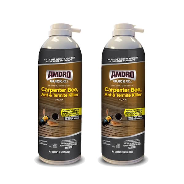 AMDRO 18 oz. Quick Kill Carpenter Bee, Ant, and Termite Killer Foam (2-Pack)