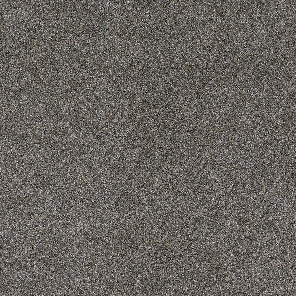 Lifeproof 8 in. x 8 in. Texture Carpet Sample - Hazelton III - Color Express