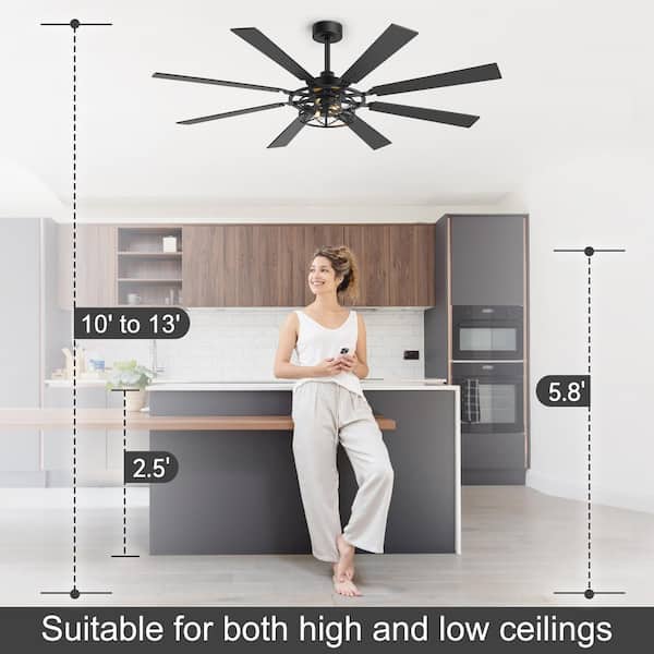 ari★ Breezary Sergio 65 in. 2-Light Black Standard Ceiling Fan with