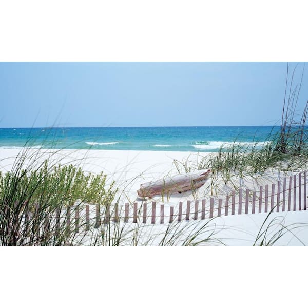 Biggies Carolina Coast View - Weather Proof Scene for Window Wells or Wall Mural - 120 in. x 60 in.