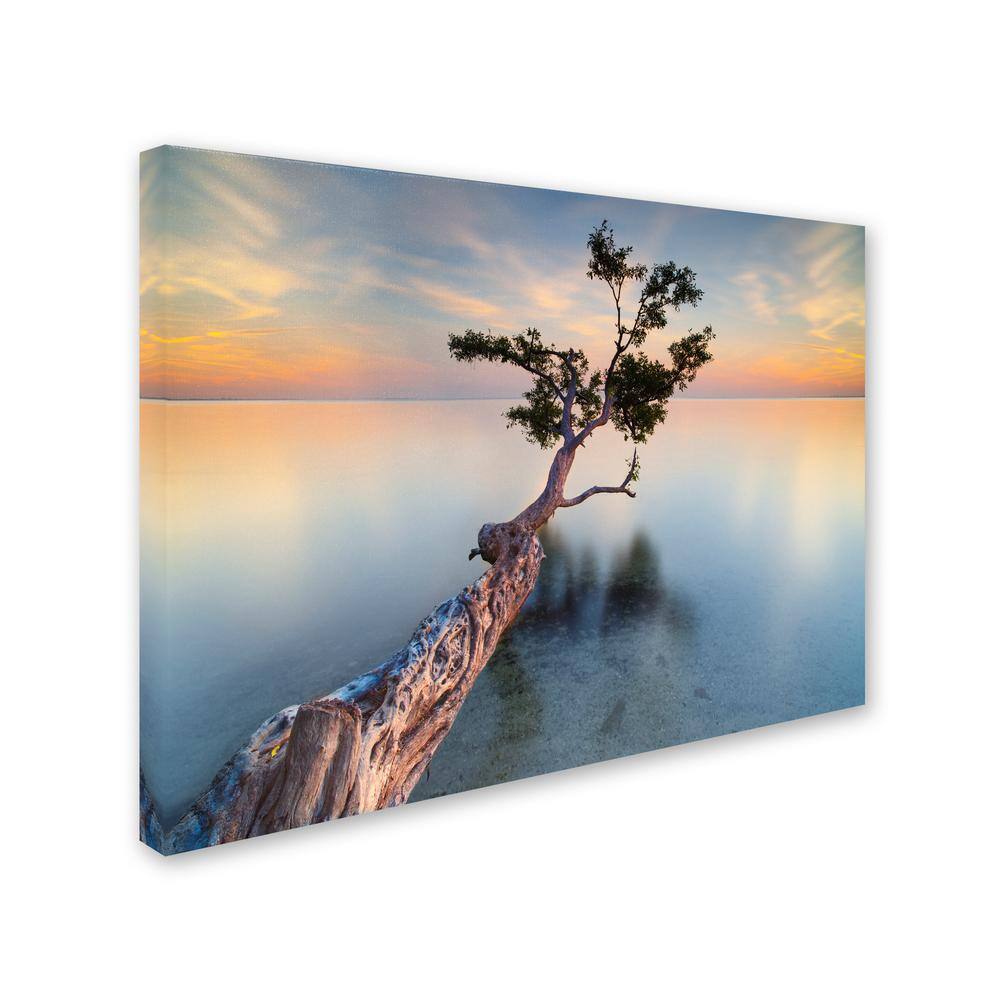 Moises Levy Water Tree XIV Framed Landscape Canvas Art