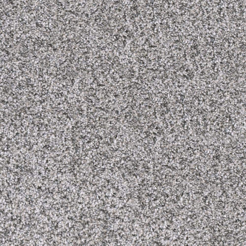 8 in. x  8 in. Texture Carpet Sample - Whispers -Color Downtime price history on PriceWatchPro