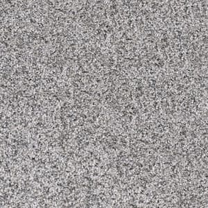 Whispers  - Downtime - Gray 38 oz. SD Polyester Texture Installed Carpet