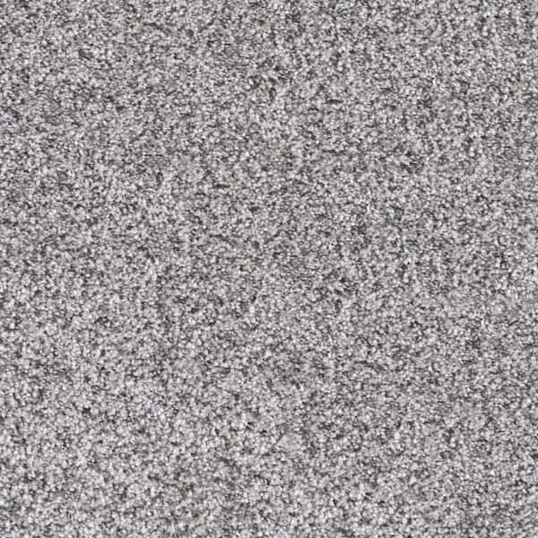 Home Decorators Collection Whispers  - Downtime - Gray 38 oz. SD Polyester Texture Installed Carpet