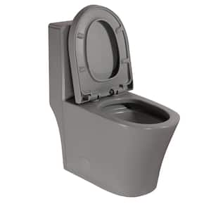 12 in. 1-Piece 1.1/1.6 GPF Dual Flush Elongated 1-Piece Toilet in Gray