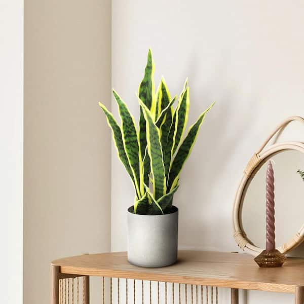 18 in. Green Yellow Sansevieria Artificial Snake Plant in Grey Pot