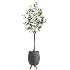 70in. Olive Artificial Tree in Gray Planter with Stand
