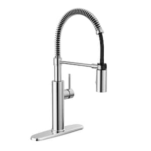 Antoni Single-Handle Pull-Down Sprayer Kitchen Faucet with Spring Spout in Chrome